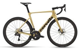 Cestno kolo Cervélo Soloist Ultegra Di2 2024-Gold-XXL