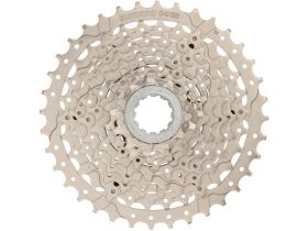 ICSHG4009136