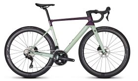 Cestno kolo Focus Izalco Max 8.8 2024