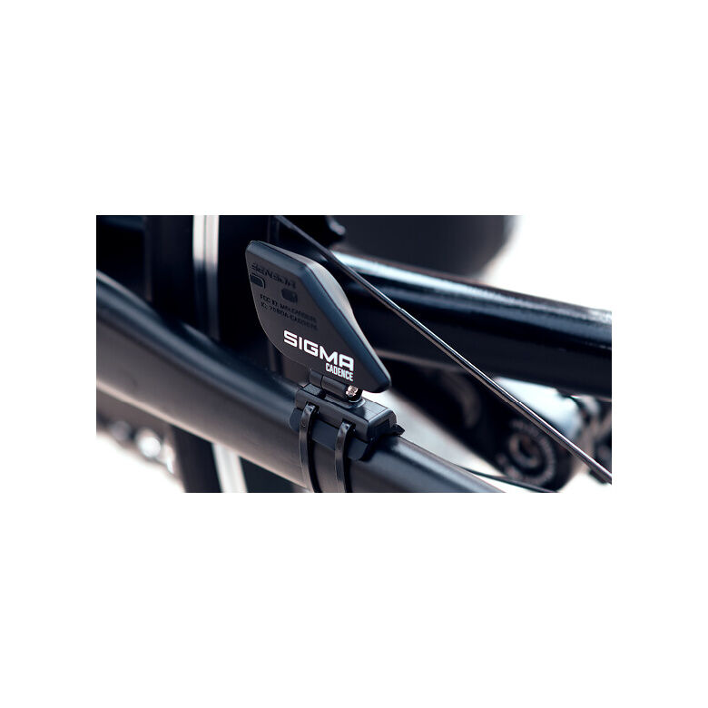 Bike Computer Sigma BC 12.0 WL STS CAD