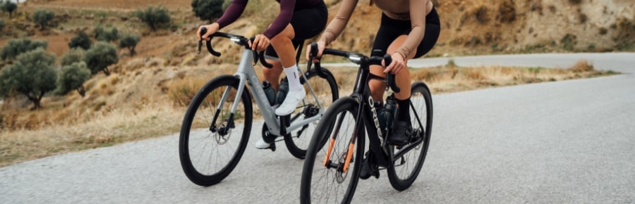 Orbea