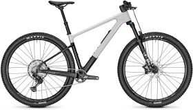 Gorsko kolo Focus Raven 8.8 2023- Grey