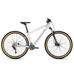 Gorsko kolo Focus Whistler 3.8