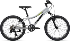 Otroško gorsko kolo Giant XTC JR 20 2023 - Good Gray